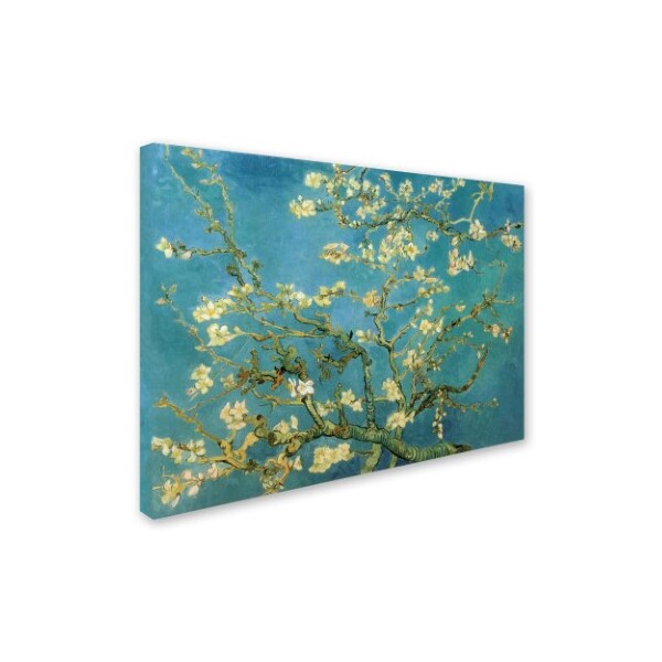 Vincent Van Gogh 'Almond Branches In Bloom 1890' Canvas Art,14x19